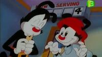 Animaniacs الضاحكون 2zj33805o36r_t