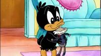 Baby Looney Tunes J045o4mjaymm_t