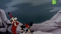 Animaniacs الضاحكون Jddlp5cczriv_t